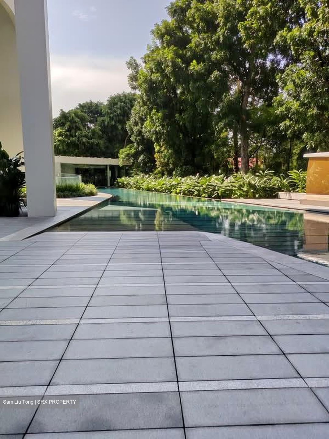 Ardmore Residence (D10), Condominium #582353561